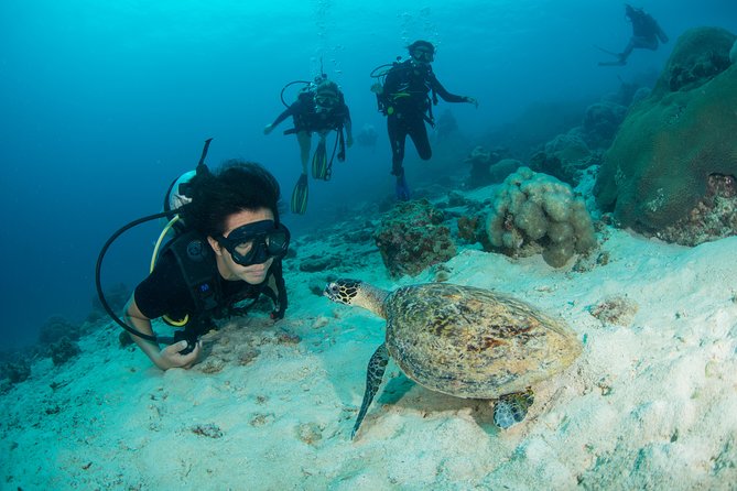 Fun Diving Safari Day Trip From Koh Lanta - Certified Divers - Underwater Photo Souvenirs and What to Budget For