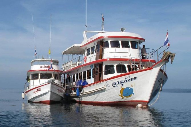 Fun Diving Safari Day Trip From Koh Lanta - Certified Divers - Certification Rules: The Simple Checklist Before You Go