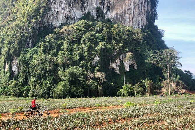 Guided Mountain Biking - Grand Tour - Trails of Ao Nang - Plantation roads to dirt trails: the main riding experience