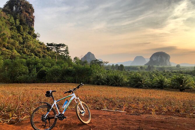 Guided Mountain Biking - Grand Tour - Trails of Ao Nang - Nong Thale lake panoramas and why viewpoints feel earned