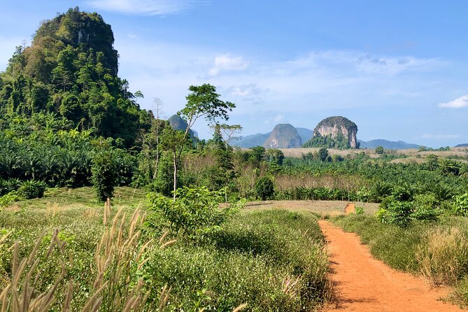 Guided Mountain Biking - Grand Tour - Trails of Ao Nang - Old farm house, market stop, and local lunch
