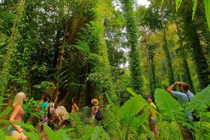 Half-Day Jungle Tour Including Crystal Pool and Krabi Hot Springs - Crystal Pool, Emerald Pool, and what happens if Blue Pool is closed