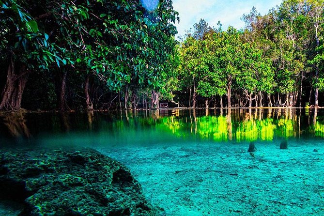 Half Day Jungle Tour to Emerald pool and Krabi Hot Spring - Pickup, Timing, and Group Size: How the Day Flows