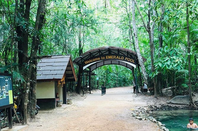 Half Day Jungle Tour to Emerald pool and Krabi Hot Spring - Crowds, Slippery Edges, and Heat: The Real-World Considerations