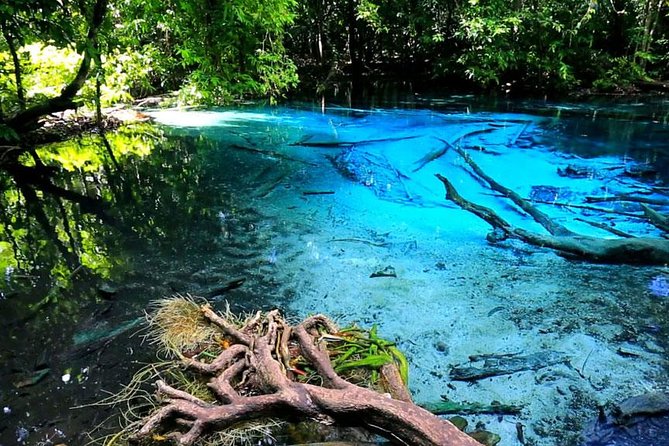 Half Day Jungle Tour to Emerald pool and Krabi Hot Spring - Price and Logistics: Where Value Gets Won or Lost