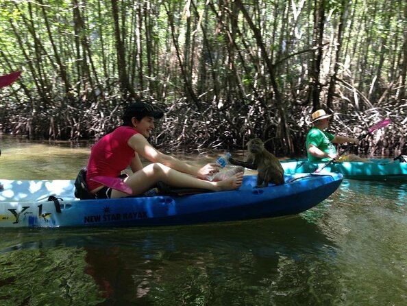 Half Day Kayaking at Ao Thalane Krabi - Key things to know before you paddle