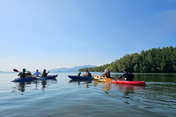 Half Day Mangrove and Lanta Old Town Tour - Key things to know before you go