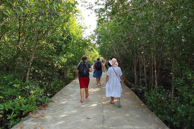 Half Day Mangrove and Lanta Old Town Tour - A fast three-hour mix of mangroves and Old Town
