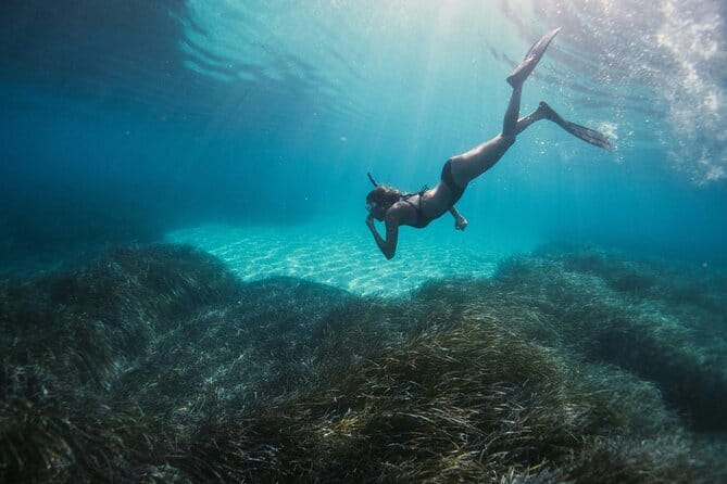 Half Day Mangrove and Lanta Old Town Tour - What makes this tour feel like good value (and when it won’t)