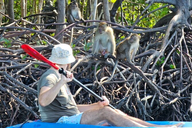 Half Day Mangrove and Lanta Old Town Tour - Thung Yee Pheng mangroves: kayaking vs longtail boat