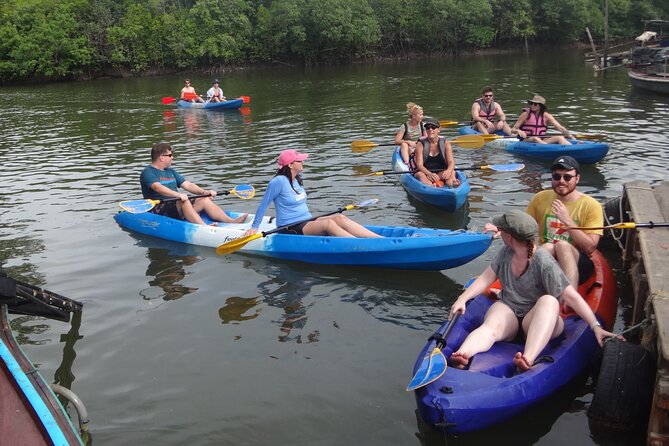Half day Mangrove by Kayaking or Longtail boat from Koh Lanta - Thung Yee Pheng Mangrove Forest: the best part of the day