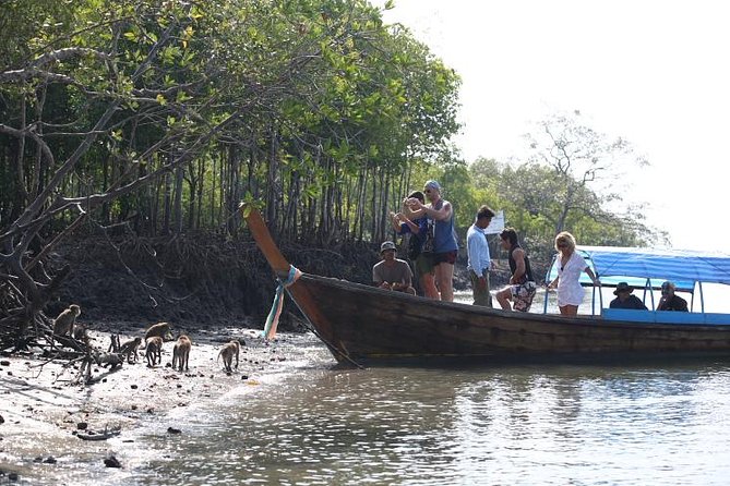 Half day Mangrove by Kayaking or Longtail boat from Koh Lanta - What to wear and pack for a sweaty mangrove morning