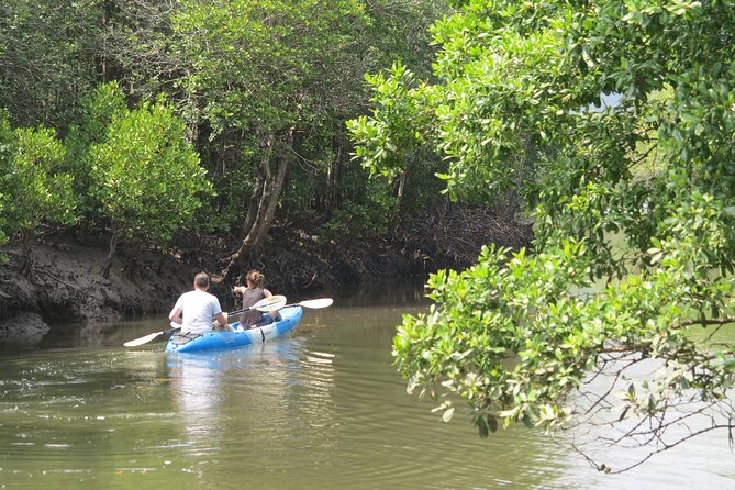 Half day Mangrove by Kayaking or Longtail boat from Koh Lanta - Who this tour is best for (and who should choose differently)