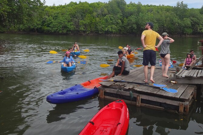 Half day Mangrove by Kayaking or Longtail boat from Koh Lanta - Picking kayak versus longtail: how that affects your experience