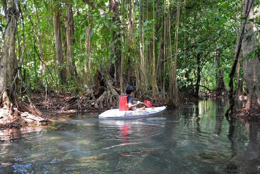 Kayaking and swiming klongrood - The Paddle Part: Rainforest Feel Without Being Exhausting
