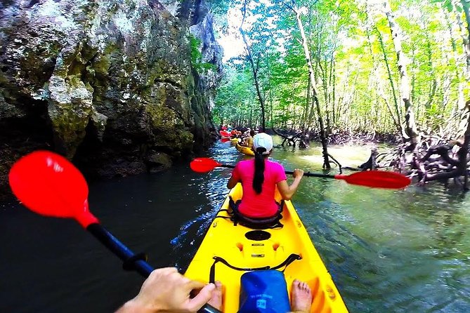 Kayaking in Ao Thalane - Discover the Mangrove life - Stop 2: Thapom Klong Song Nam where fresh meets sea
