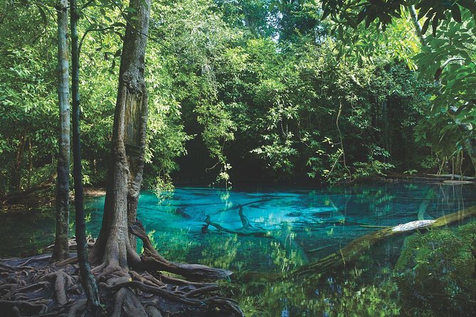 Kayaking in Ao Thalane - Discover the Mangrove life - Price and value: what you’re actually getting for $194.69