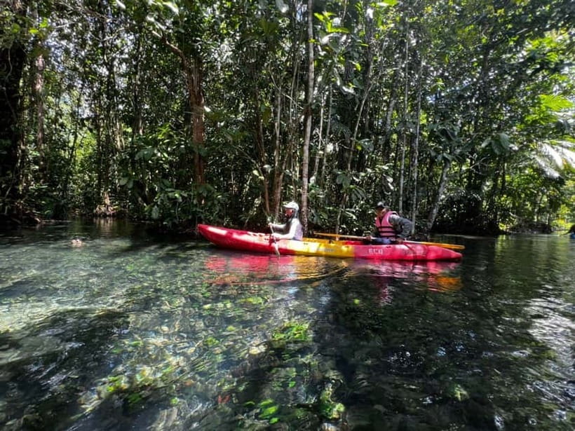 Klong Rud Kayaking with Hotel Transfer - Key things you’ll notice on this lagoon kayak trip