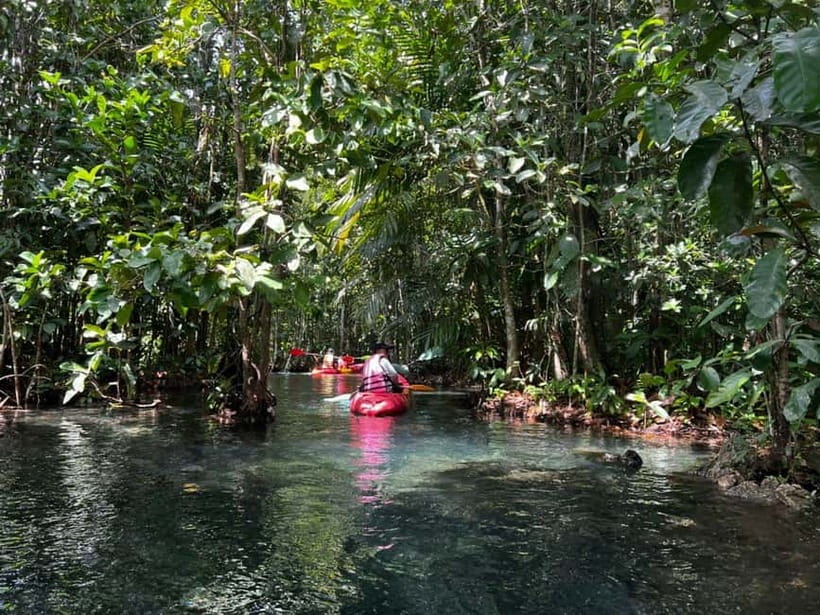 Klong Rud Kayaking with Hotel Transfer - Kayaking the Khlong Nam Sai lagoon from Ao Nang