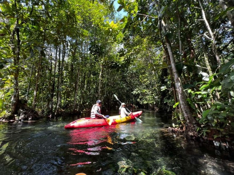 Klong Rud Kayaking with Hotel Transfer - From Klongroot Viewpoint Pier to the lagoon: what “getting going” feels like