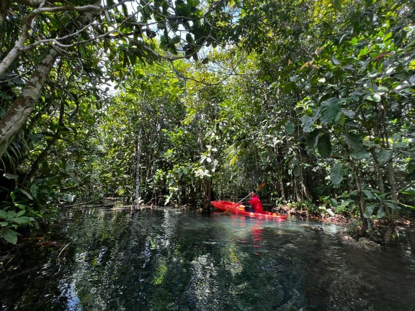 Klong Rud Kayaking with Hotel Transfer - The fish-feeding moment you might catch at the end