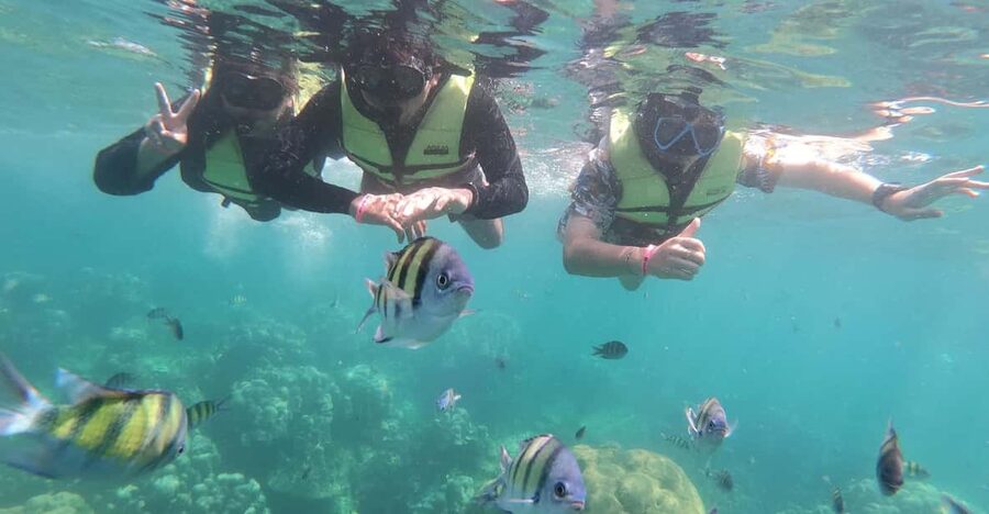 Ko Lanta: 4 Islands and Emerald Cave Day Tour by Speedboat - Koh Kradan: Thai Buffet Lunch on White Sands