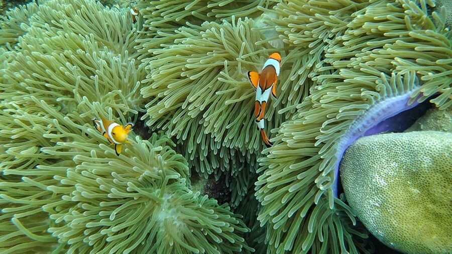 Ko Lanta: 4 Islands and Emerald Cave Day Tour by Speedboat - Price and Value: Why $54 Can Make Sense (or Not)