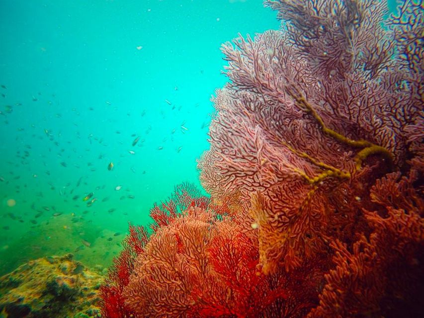 Ko Lanta: 4 Islands Snorkeling Tour by Longtail Boat - Who should book this Koh Lanta 4-islands longtail tour?