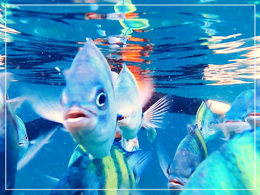 Ko Lanta: 4 Islands Snorkeling Tour by Longtail Boat - Koh Ngai lunch on the beach: where the day slows down