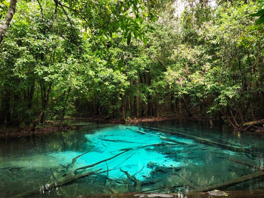 Ko Lanta: Full Day Emerald Pool&Hot Spring With Tiger Temple - Quick packing list that matches what the tour requires