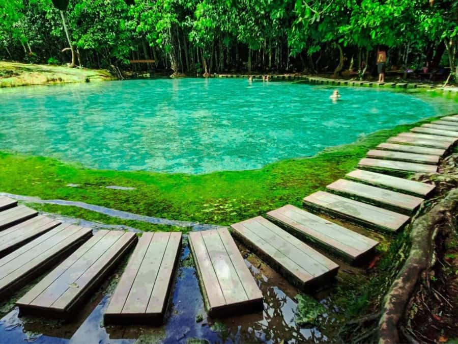 Ko Lanta: Full Day Emerald Pool&Hot Spring With Tiger Temple - Emerald Pool: jungle path, emerald-green water, and swim-friendly time