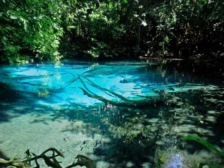 Ko Lanta: Full Day Emerald Pool&Hot Spring With Tiger Temple - Lunch, downtime, and how the timing shapes your experience