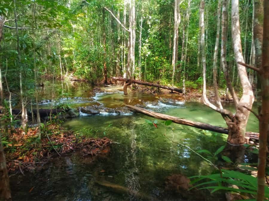 Ko Lanta: Full Day Emerald Pool&Hot Spring With Tiger Temple - Price and value: is $160 per person fair?