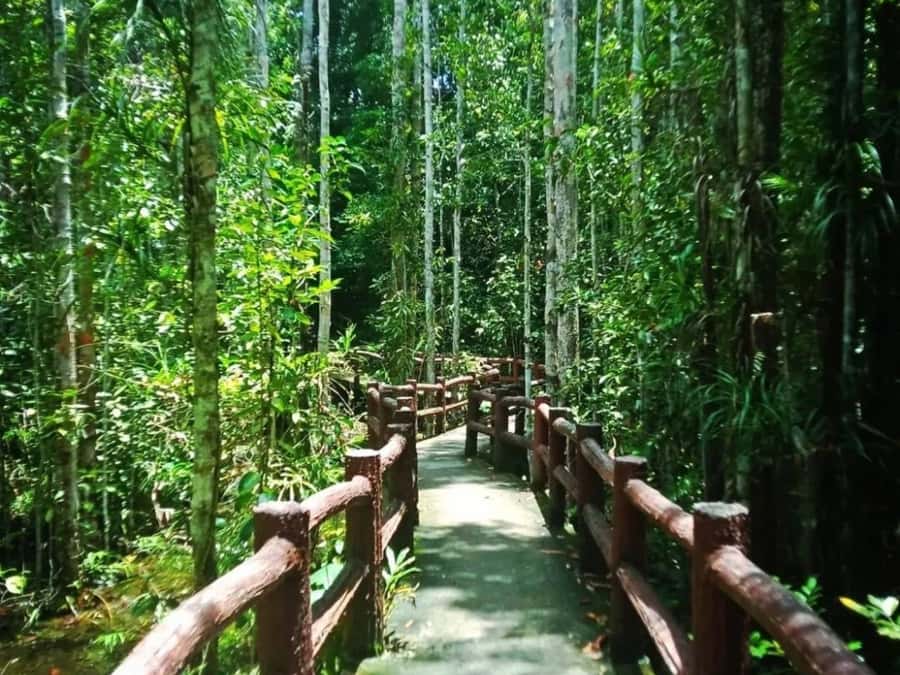 Ko Lanta: Full Day Emerald Pool&Hot Spring With Tiger Temple - Who this tour suits best (and who should skip)