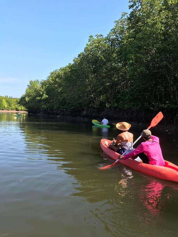 Ko Lanta: Half-Day Mangrove Kayaking Tour with Lunch - Key things you’ll notice on this Ko Lanta kayaking tour