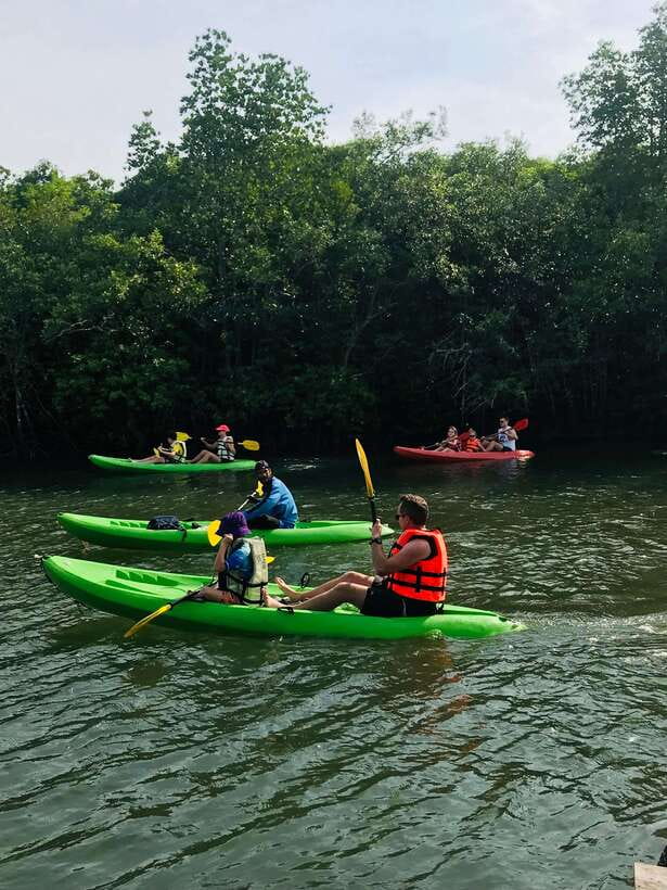 Ko Lanta: Half-Day Mangrove Kayaking Tour with Lunch - Who This Tour Fits Best