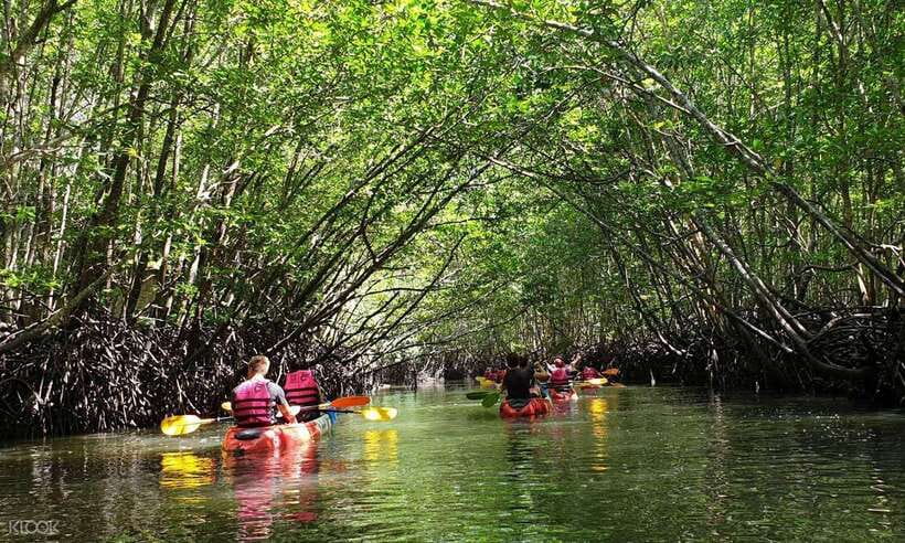 Ko Lanta: Half-Day Mangrove Kayaking Tour with Lunch - Mangrove Kayaking on Ban Thung Yee Peng: Quiet Water, Wild Neighbors