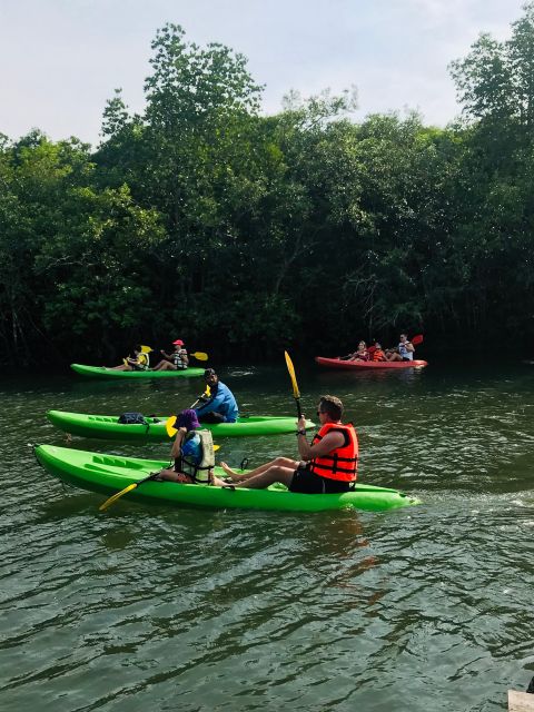 Ko Lanta: Half-Day Mangrove Kayaking Tour with Lunch - Feeding Monkeys From the Boat: Controlled Fun, Real Rules