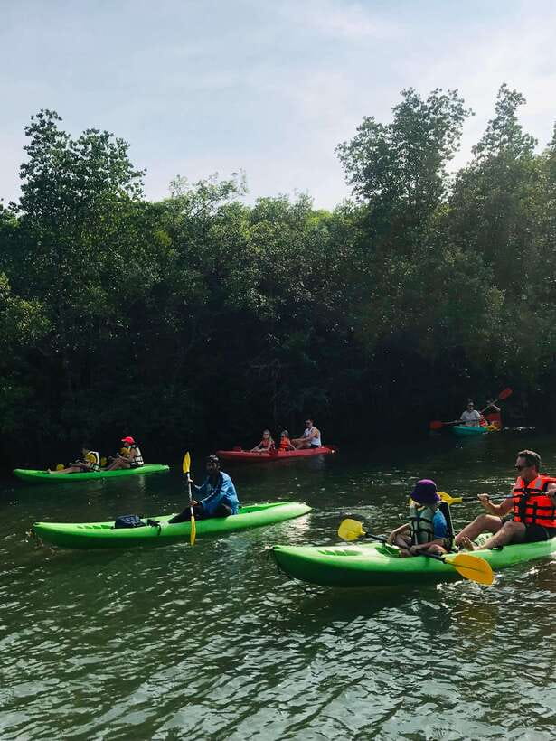 Ko Lanta: Half-Day Mangrove Kayaking Tour with Lunch - Lunch on Ko Lanta: Fruit, Soft Drinks, and a Proper Meal