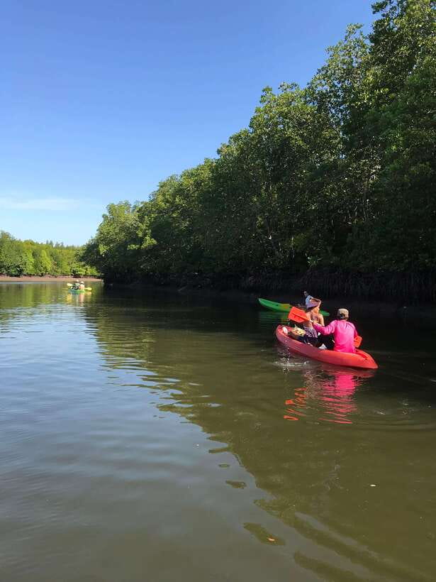 Ko Lanta: Half-Day Mangrove Kayaking Tour with Lunch - Price and Value for $26: What You’re Actually Paying For