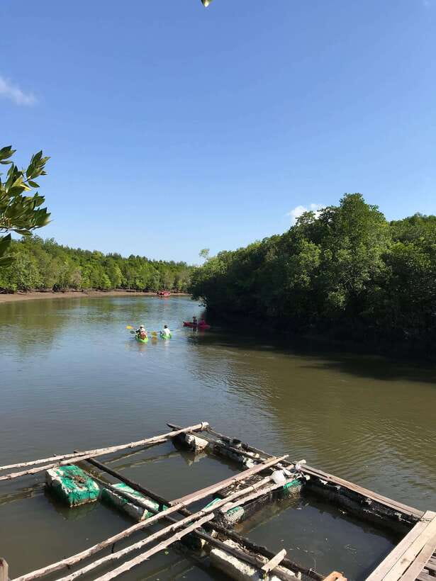Ko Lanta: Half-Day Mangrove Kayaking Tour with Lunch - Timing, Weather, and What to Pack (So You’re Comfortable)