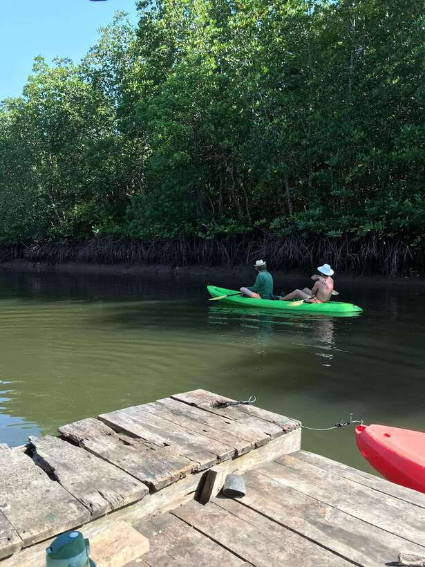 Ko Lanta: Half-Day Mangrove Kayaking Tour with Lunch - Hotel Pickup to Tung Yee Peng Pier: Getting There Without Stress