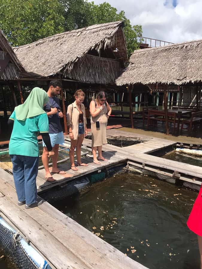 Ko Lanta: Half Day Tour Mangrove Boat Trip With Lunch - Logistics that actually matter: hotel pickup, timing, and group feel