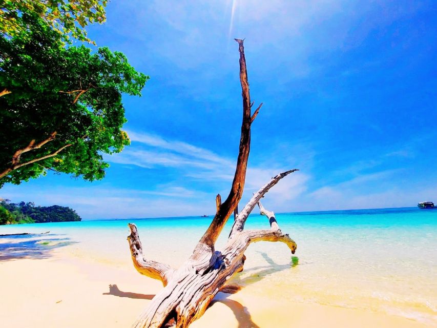 Ko Lanta: Koh Rok & Koh Haa Snorkelling Tour by Speedboat - Key Points Before You Go