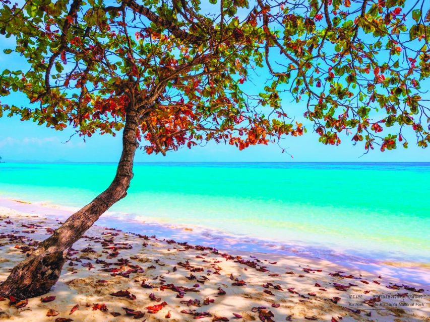 Ko Lanta: Koh Rok & Koh Haa Snorkelling Tour by Speedboat - Pickup Timing Across Ko Lanta: What Your Morning Looks Like