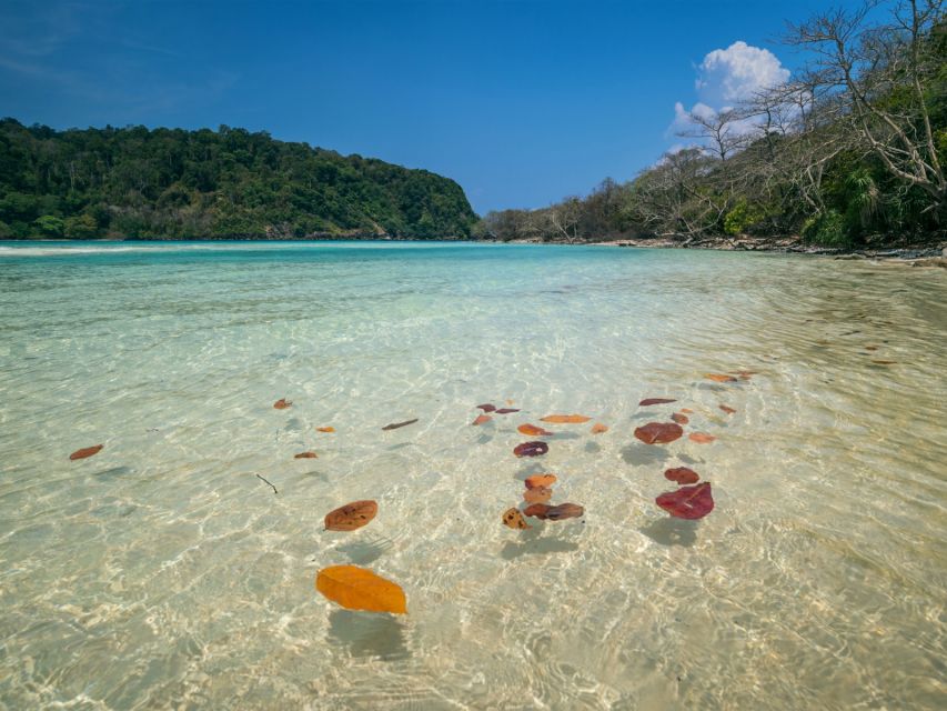 Ko Lanta: Koh Rok & Koh Haa Snorkelling Tour by Speedboat - Second and Third Snorkel Moments: Koh Rok Nai at 1:30