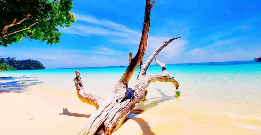 Ko Lanta: Koh Rok & Koh Haa Snorkelling Tour by Speedboat - Price, National Park Fees, and Actual Value