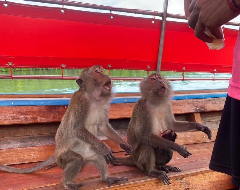 Ko Lanta: Mangrove Forest and Old Town Private Tour - Should You Book This Private Tour?