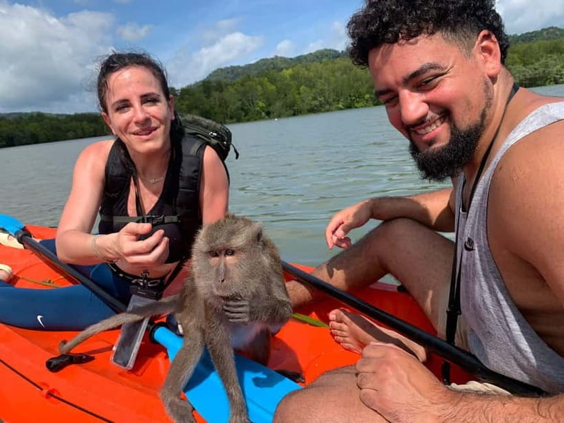 Ko Lanta: Mangrove Forest and Old Town Private Tour - Mangroves by Boat or Kayak, Then Old Town in One Day