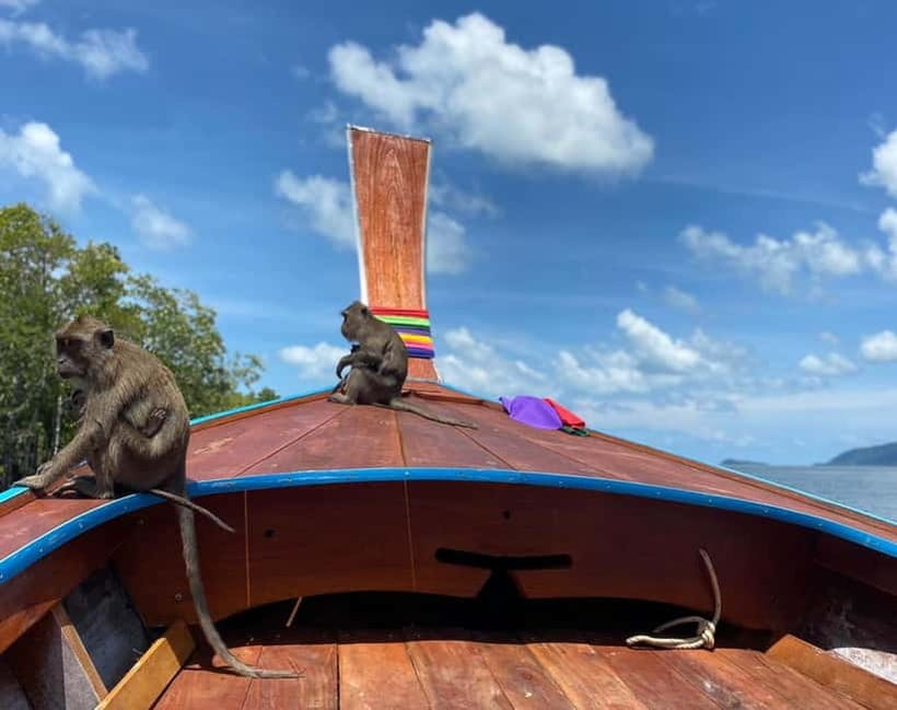 Ko Lanta: Mangrove Forest and Old Town Private Tour - Long-Tail Boat Ride vs Kayaking Through the Mangroves